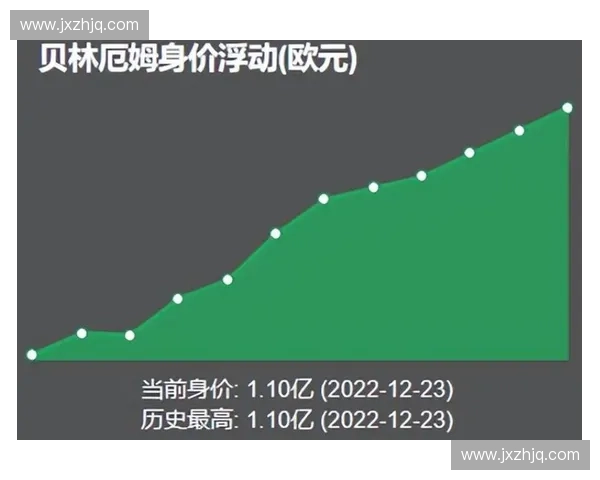 世界杯赛场冲突频发背后原因揭秘球员球迷打架事件全景观察与规则反思